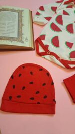 سه تیکه هندونه تمام چاپ - تصویر 5