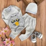 سه تیکه راکون