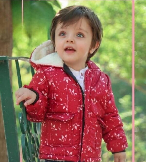 کاپشن تو خزدار آدیداس